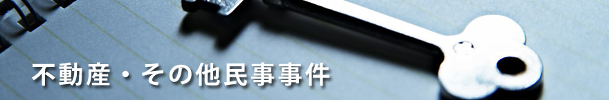 不動産・その他民事事件